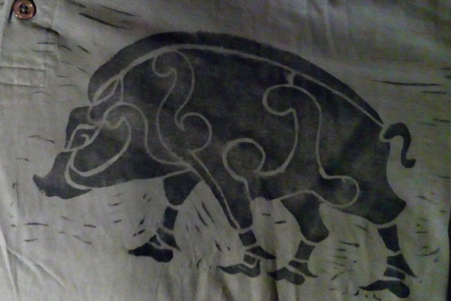 img_20190113_201821-e1548329574627