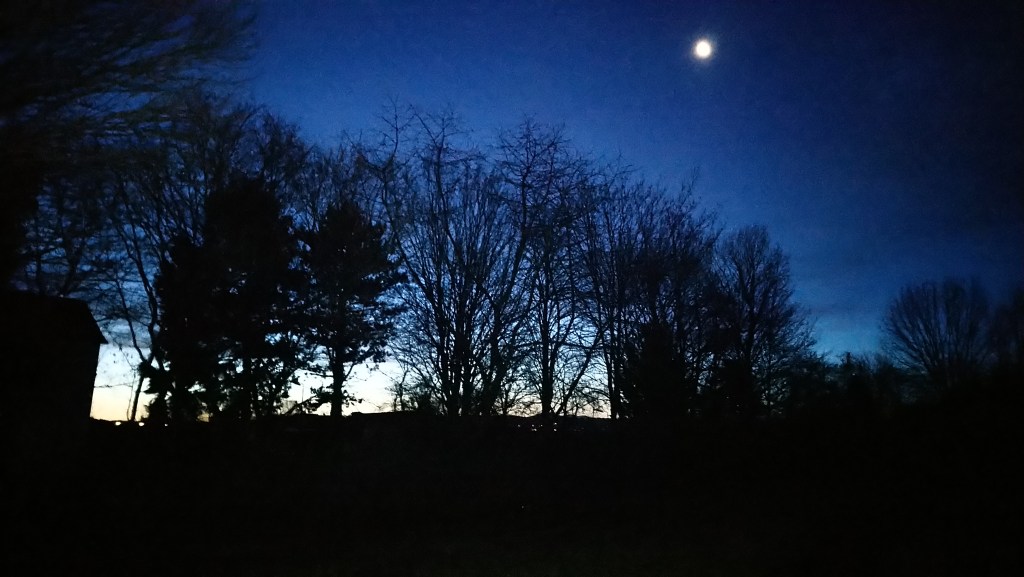 Die längste Nacht