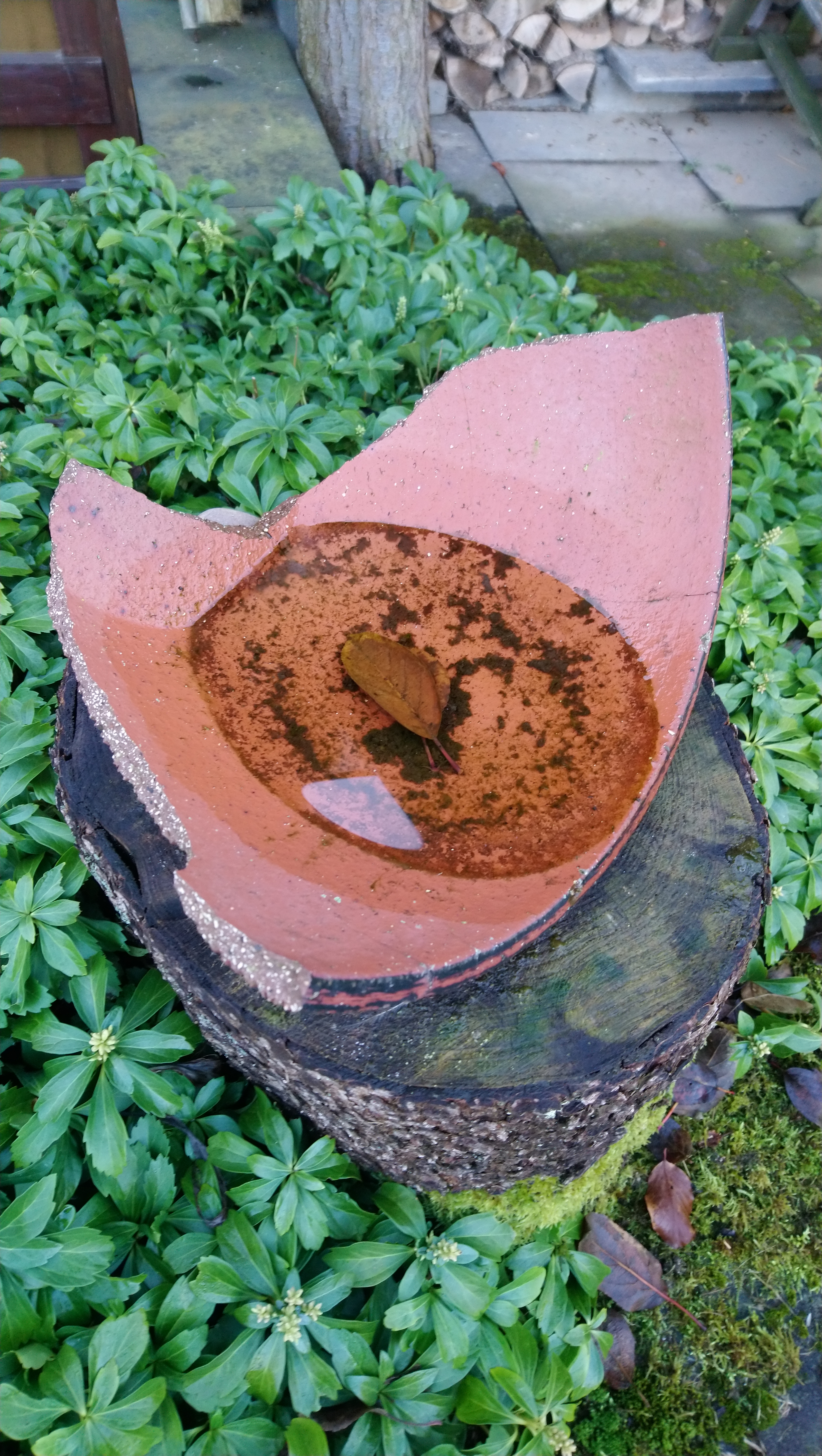 vogeltränke