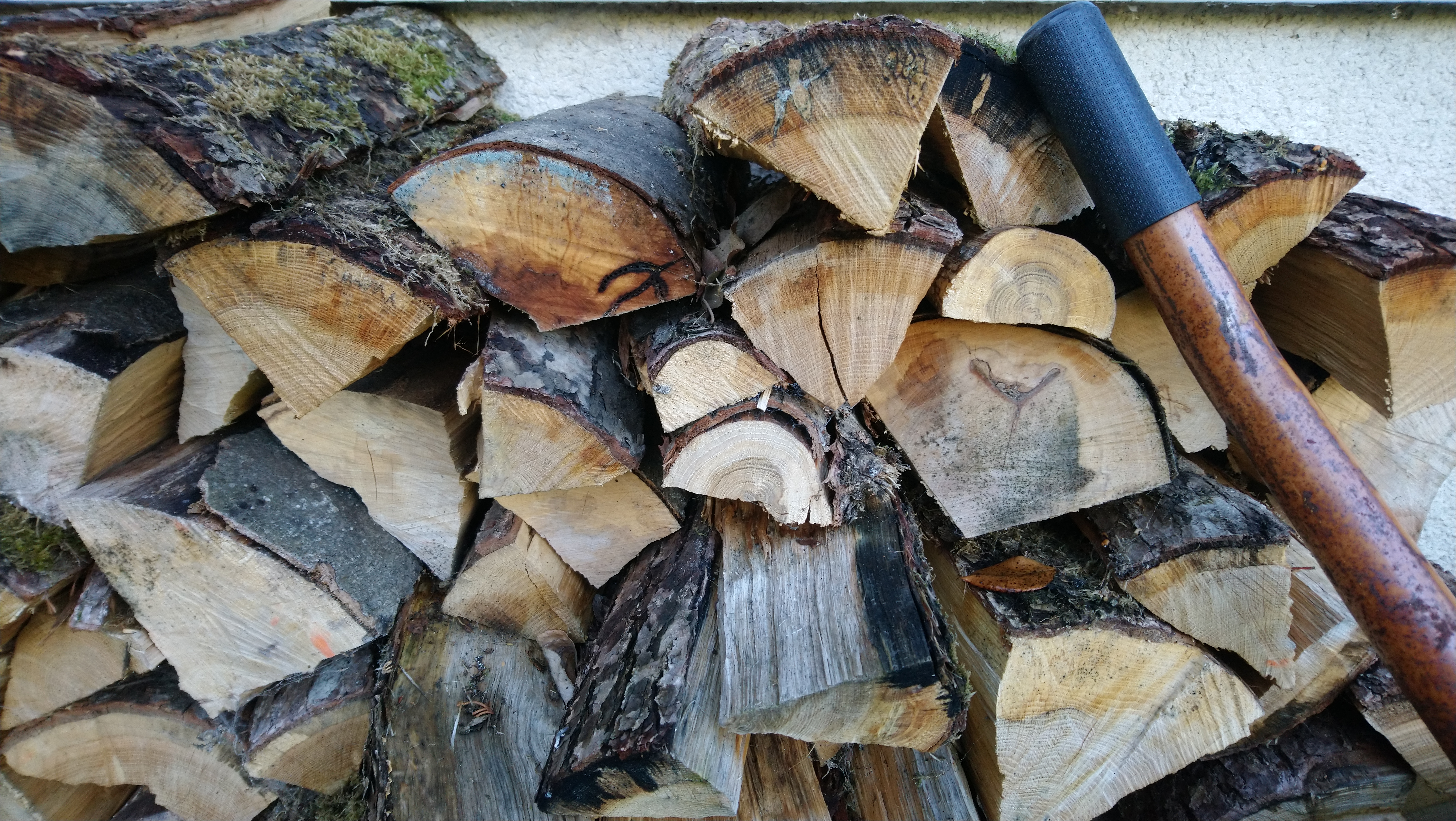 holz