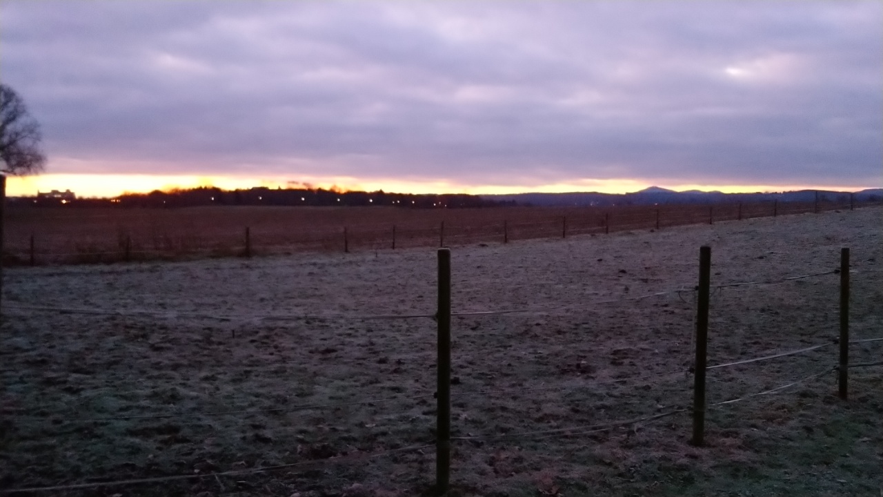 Guten Morgen
