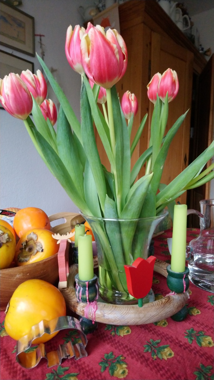 Tulpen