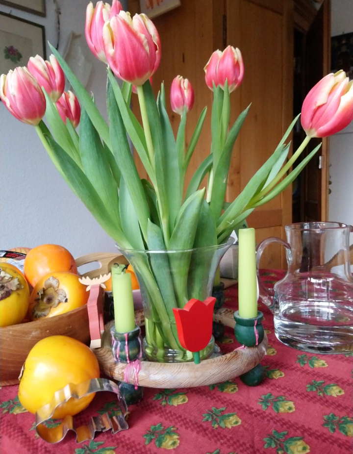 Tulpen2