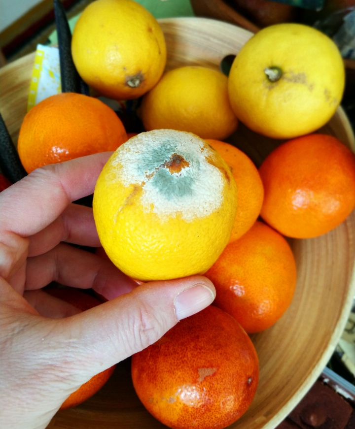 orangen