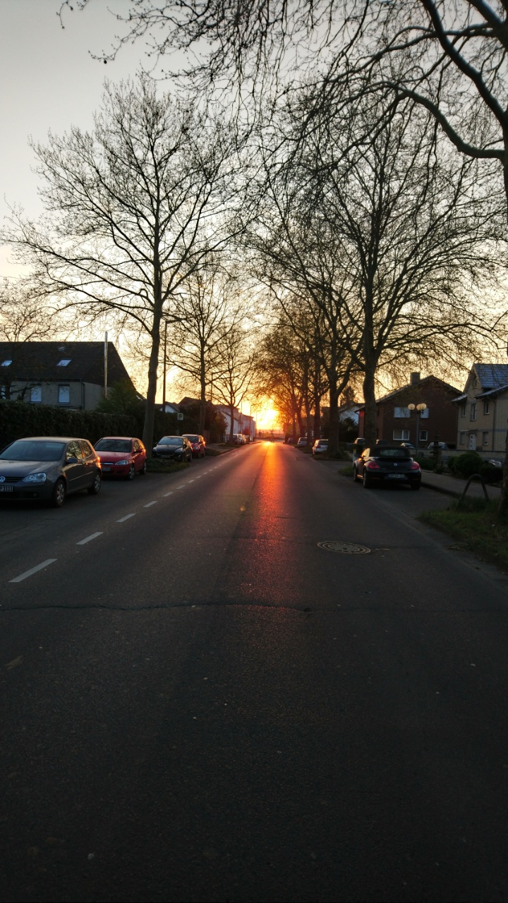 frühmorgens