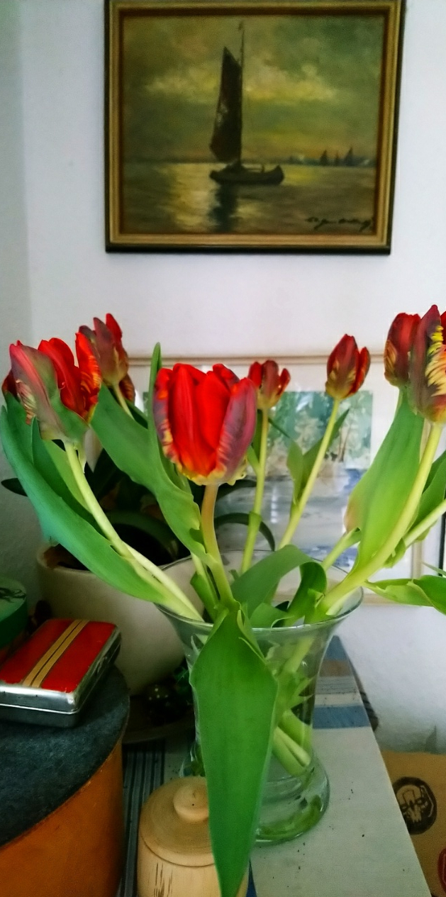 Tulpen im Glas