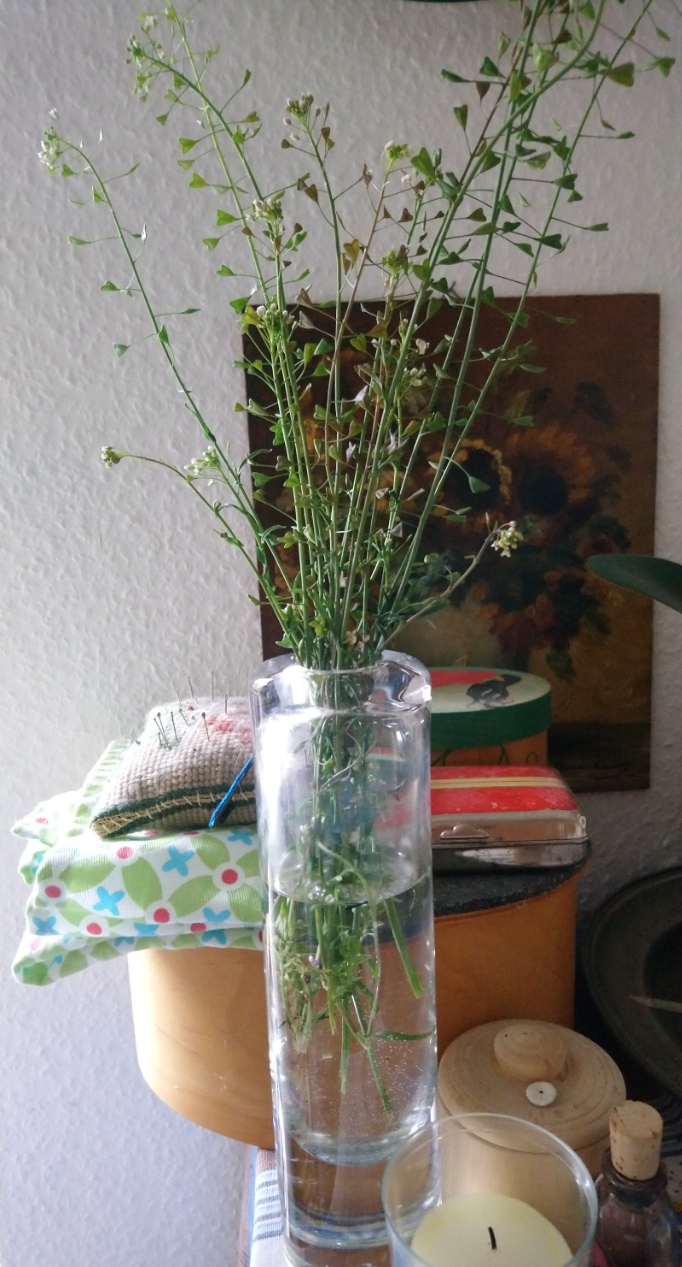 Hirtentäschlestrauss