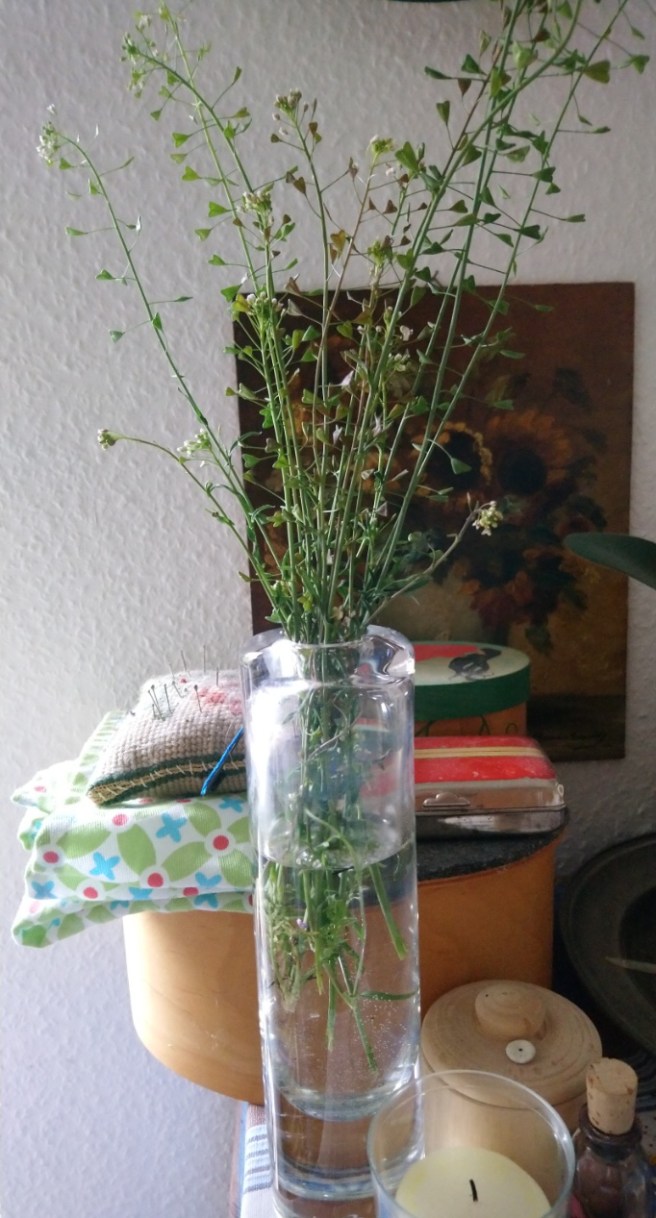 Hirtentäschlestrauss