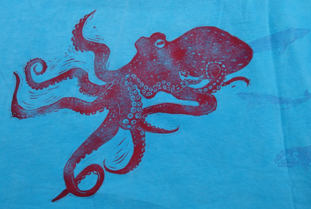 Oktopus b