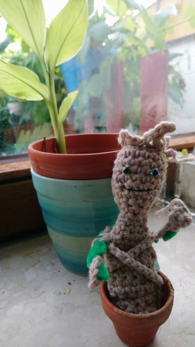 Groot aka Mr Blue Sky