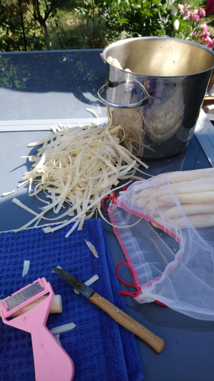 Spargel