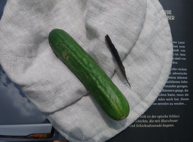 Snac und Fund