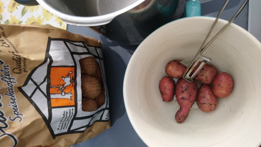 Kartoffeln schälen
