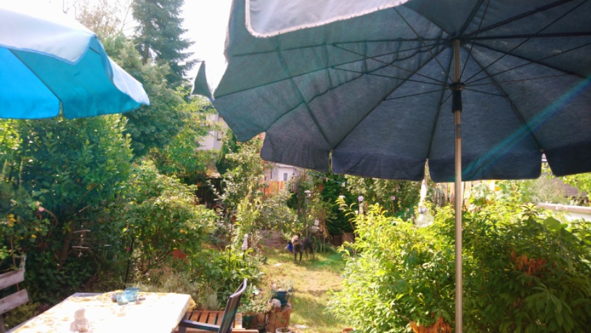 heiss