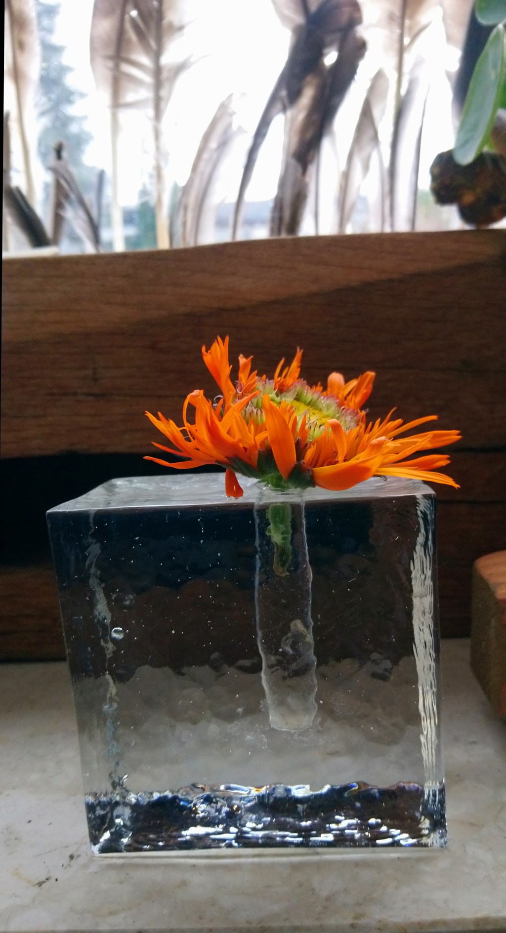 Etwas mehr Schnee, etwas mehr&nbsp;Wärme