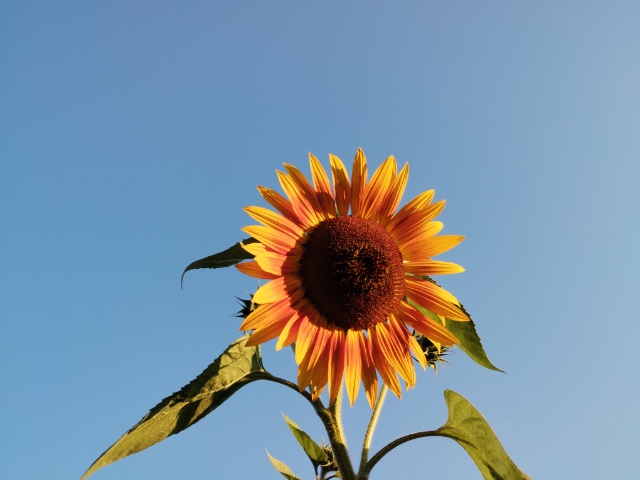 Spätsommergefühle