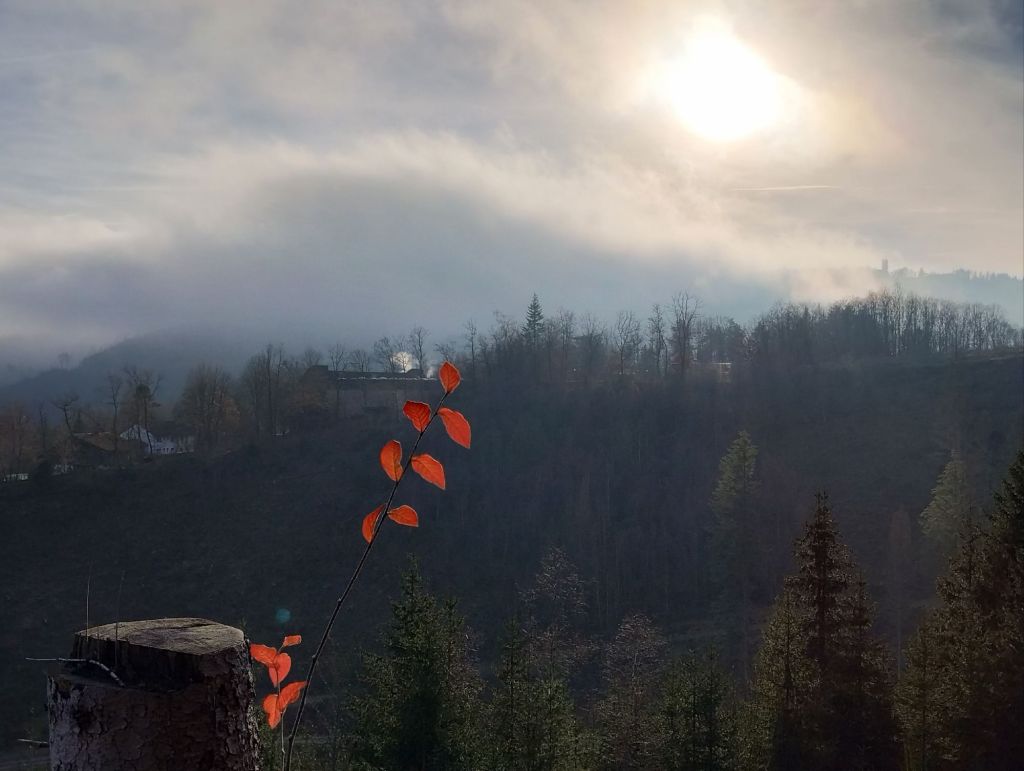 Aus dem Nebel in die wilde&nbsp;Jagd