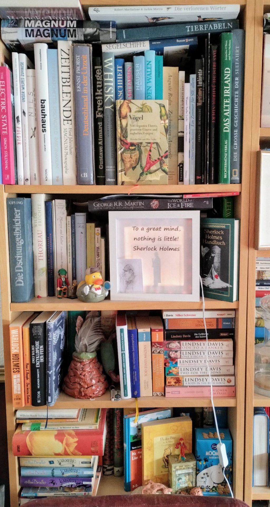 Bücherregale als kleine&nbsp;Schatzinseln