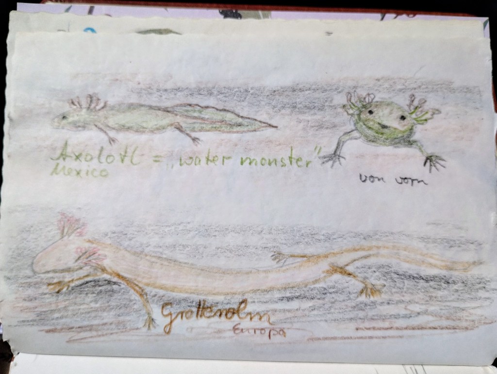 Ich Lurch Dir was, Du&nbsp;Drachenbaby