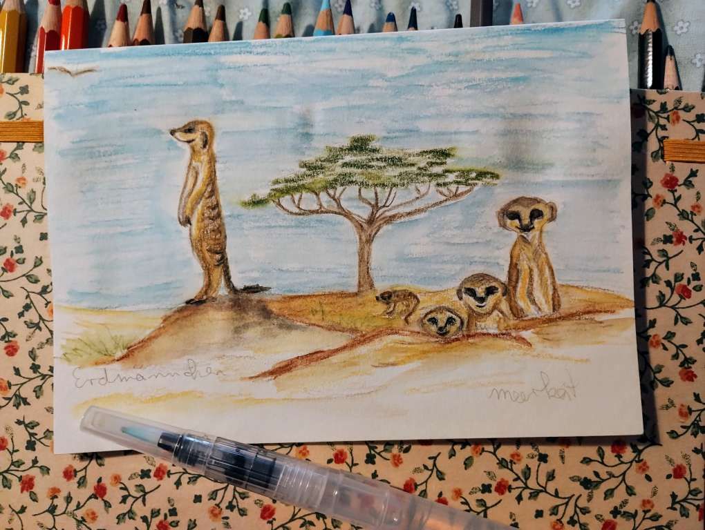 Putzige Schleichkatzen unter&nbsp;Tage