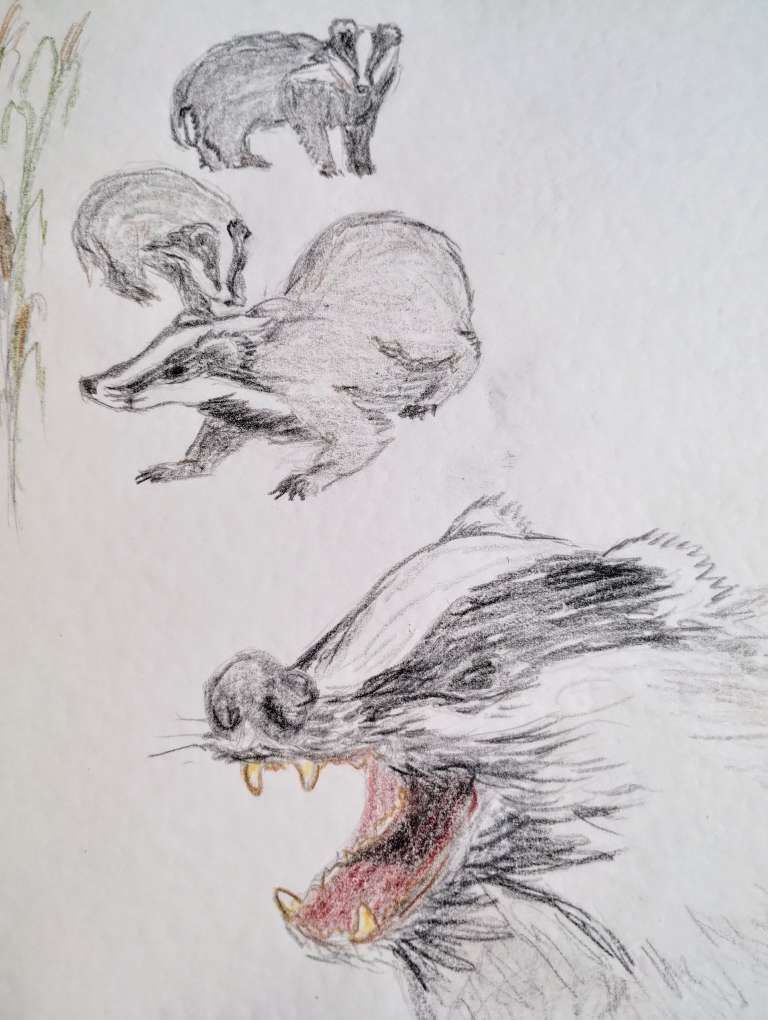 Grimbart in Winterruhe