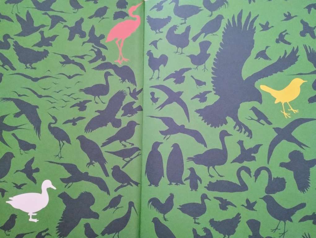 Wer ein Vogelkundler werden&nbsp;möchte…