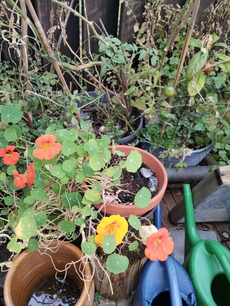 12. Oktober mit 12&nbsp;Bildern