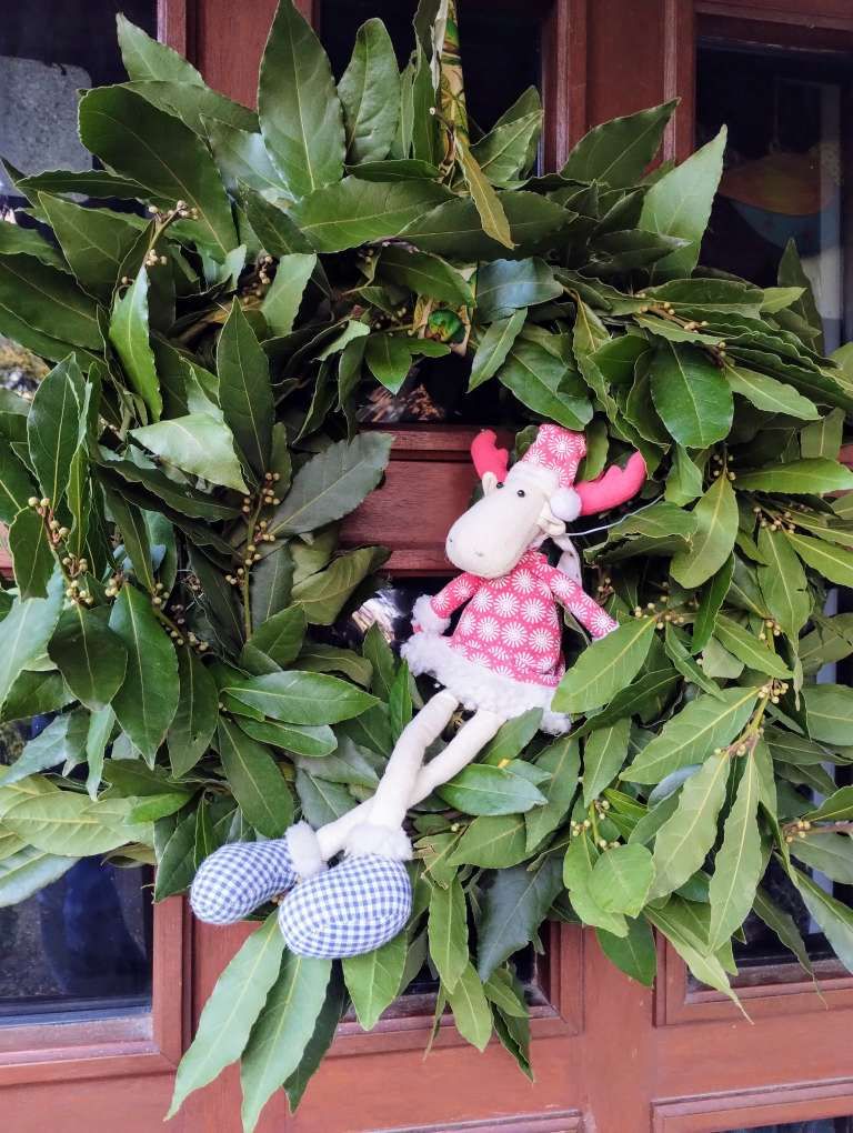 Immergrüne Dekoration zum&nbsp;Advent