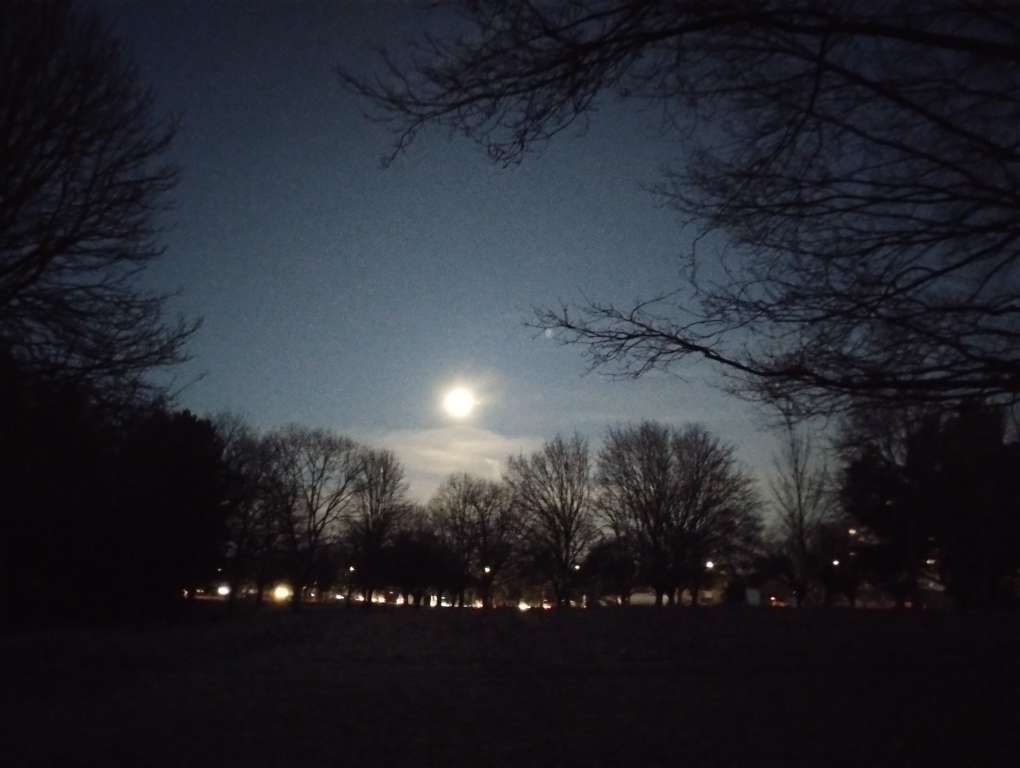 Schneematsch Frost Nebel&nbsp;Woche(n)