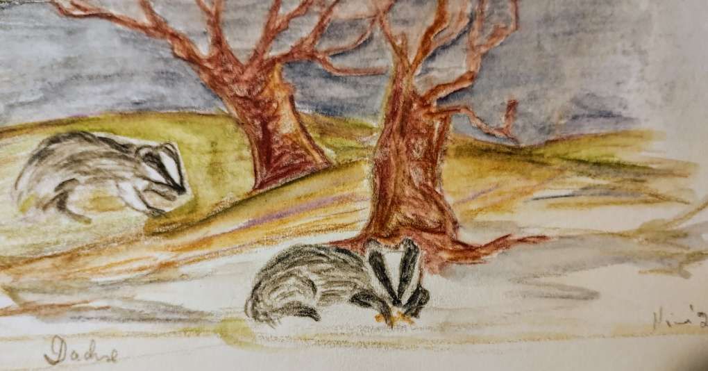 Von Zwergen und Riesen im&nbsp;Wald.