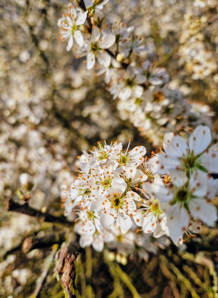 März und meine sonnige&nbsp;Woche