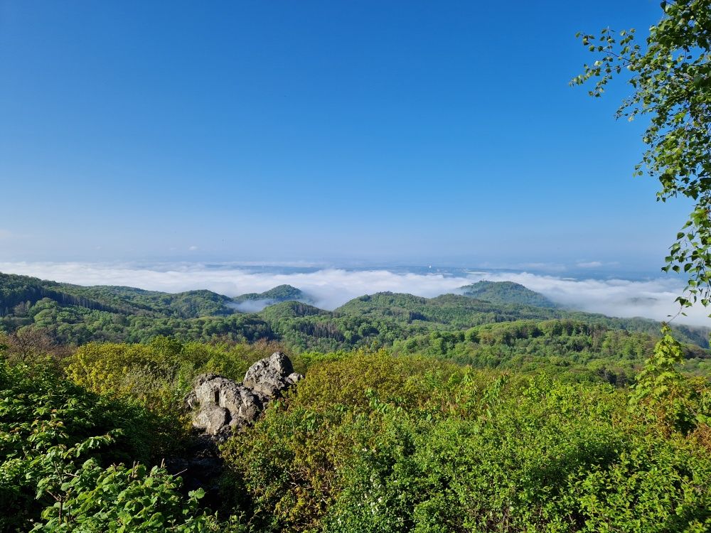 April….&nbsp;&nbsp;