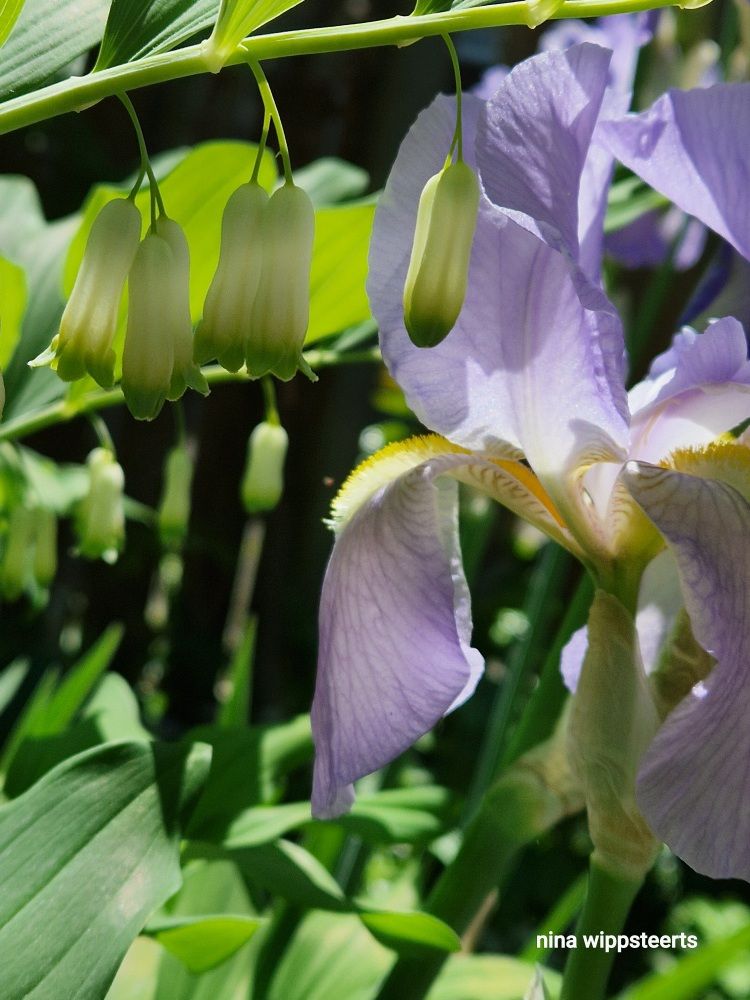 12 von 12 an einem sonnigwarmen Mai&nbsp;Montag