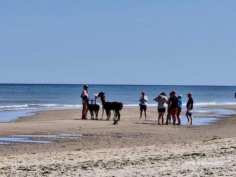 Impressionen aus Zeeland