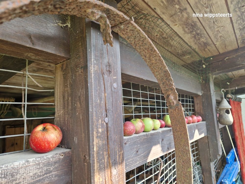 Fast vergessen: Hundstage