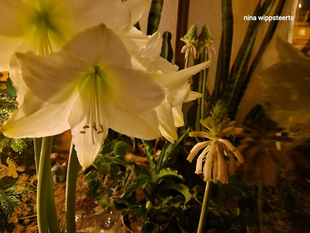 Advent, Feiertage und&nbsp;Jahreswechsel