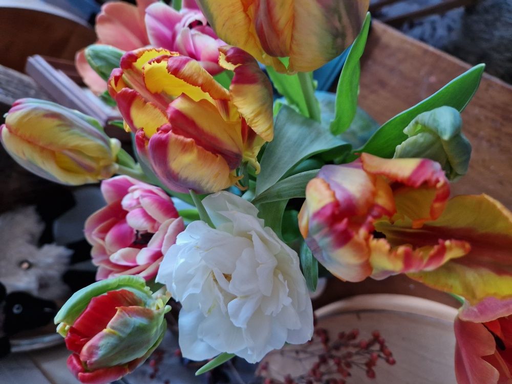 Februar in grau mit dann doch sonnigem&nbsp;Ausklang.