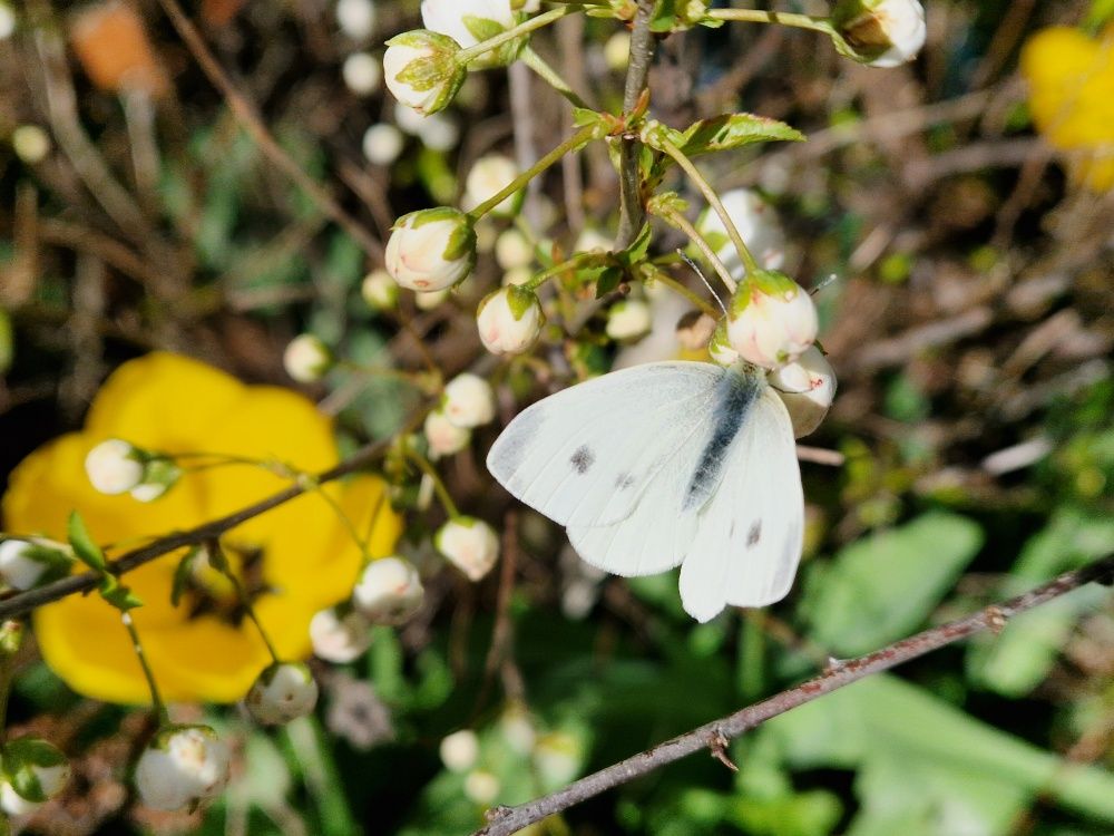 Ein frohes Osterfest Euch&nbsp;allen