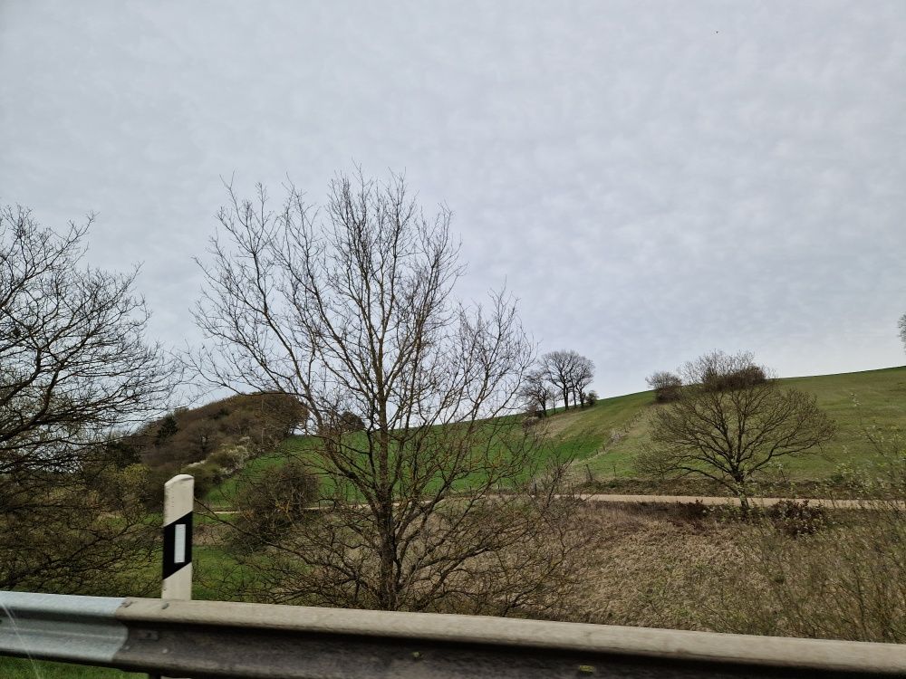 Sonntäglicher 12 von 12 im April